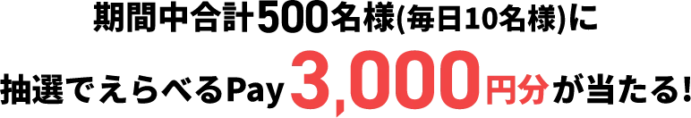 期間中合計500名様（毎日10名様）に抽選でえらべるPay3,000円分が当たる！
